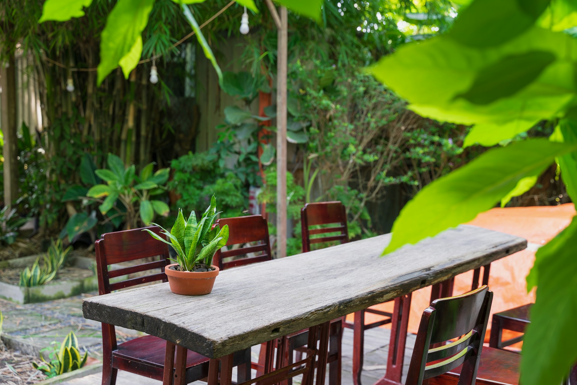 Outdoor Kitchens & Dining Spaces